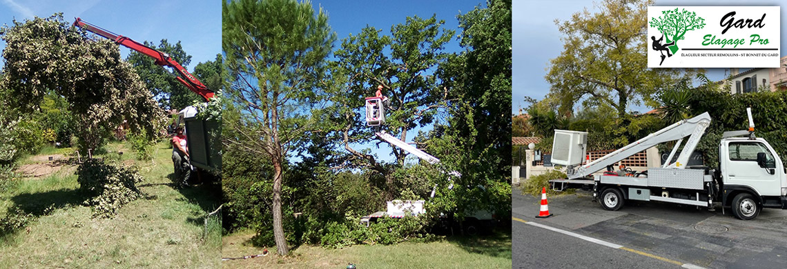 Elagage arbres dangereux avec nacelle élévatrice Remoulins Saint-Bonnet-du-Gard Nîmes Uzès